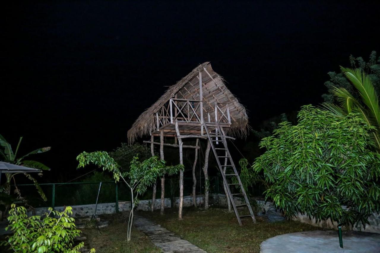 ดี แฟมิลี รีสอร์ต Hotel อนุราธปุระ ภายนอก รูปภาพ